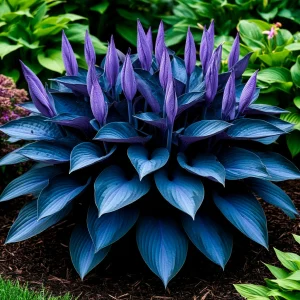 Хоста Сикрет Гров купить по цене от 570р. в интернет-магазине «Посадика» с доставкой почтой в в Шенкурске и по всей России – [изображение №1].