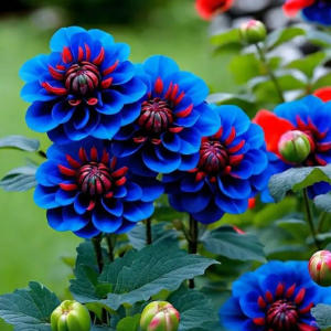 Георгин Аквамарин купить по цене от 318р. в интернет-магазине «Посадика» с доставкой почтой в в Шенкурске и по всей России – [изображение №1].